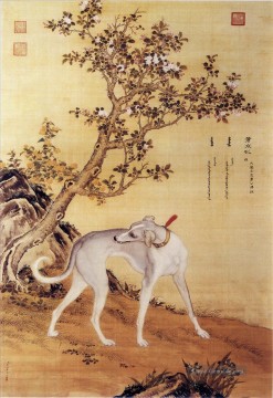  grey - Cangshuiqiu, ein chinesischer Windhund aus Ten Prized Dogs Album Lang glänzt Giuseppe Castiglione alte China Tinte
